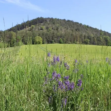 Wohnen Im Denkmal * Gumperda
