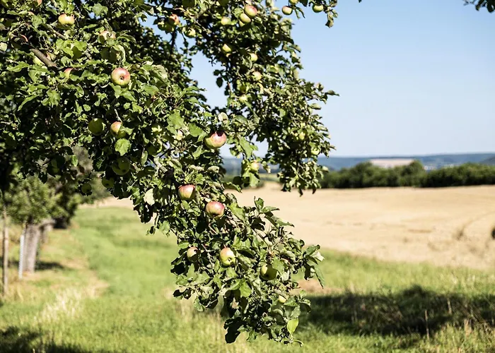 Appartement Wohnen Im Denkmal
