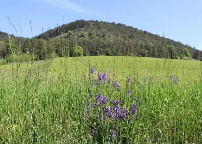 Wohnen Im Denkmal * Gumperda